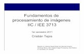 Fundamentos de procesamiento de imágenes IIC / IEE 3713