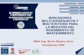 INDICADORES MULTIJERÁRQUICOS Y MULTICRITERIO PARA LA ...