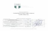 COM-PRO-01 Compras por caja chica V3