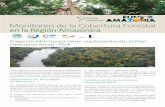 Monitoreo de la Cobertura Forestal en la Región Amazónica