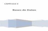 Bases de Datos - 132.248.52.100:8080
