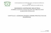 INGENIERO AGRÓNOMO INDUSTRIAL FORMULACION Y EVALUACION DE ...