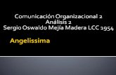 Comunicación Organizacional 2 Análisis 2 Sergio Oswaldo ...