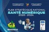 MINISR D SN PI PN SRI NION D SN NMRI 2020 2024