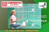 Comprovet presenta su nueva línea, Jaulas para la colombofilia