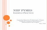 NIFF PYMES Ejemplo Práctico