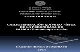 TESIS DOCTORAL CARACTERIZACIÓN QUÍMICO FÍSICA DE LA ...