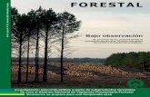Bajo observación - Revista Forestal - Revista Forestal