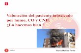 Valoración del paciente intoxicado por humo, CO y CNH. ¿Lo ...