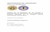 UNIVERSIDAD DE ZARAGOZA - Repositorio Institucional de ...