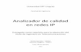 Analizador de Calidad en Redes IP - Universidad ORT Uruguay
