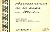 Agroeconomia de la papa en Mexico