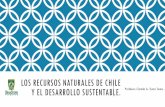 LOS RECURSOS NATURALES DE CHILE Y EL DESARROLLO ...