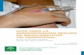 GUÍA PARA LA ADMINISTRACIÓN SEGURA DE MEDICAMENTOS VÍA ...