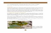 La contaminación minera de los ríos Tinto y Odiel