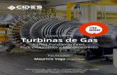 Curso Online Turbinas de Gas - OTEC, Cursos de ...