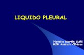 LIQUIDO PLEURAL - AEBM