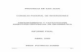 PROVINCIA DE SAN JUAN CONSEJO FEDERAL DE INVERSIONES ...