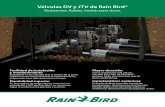 Válvulas DV y JTV de Rain Bird®