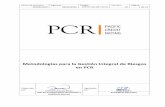 Metodologías para la Gestión Integral de Riesgos en PCR
