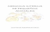 MEDICINA INTERNA DE PEQUEÑOS ANIMALES