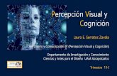 Percepción Visual y Cognición