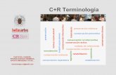 C+R Terminología