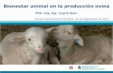 Bienestar animal en la producción ovina