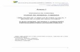 ANEXO I - Pliego Gral. de Bases y Condiciones