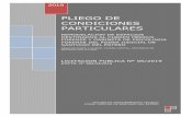 º* PLIEGO DE CONDICIONES PARTICULARES