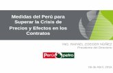 Medidas del Perú para Superar la Crisis de Precios y ...