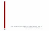 REPORTE DE SOSTENIBI LIDAD 2019