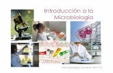 Introducción a la Microbiología - UNAM