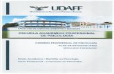 UDAFF - Universidad De Ayacucho Federico Froebel