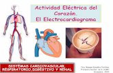 Actividad Eléctrica del Corazón. El Electrocardiograma