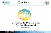 Sistema de Protección Social Universal