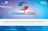 Mejores Prácticas del Sistema Financiero en México