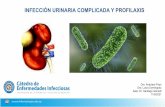 INFECCIÓN URINARIA COMPLICADA Y PROFILAXIS