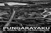 PUNGARAYAKU, EL HORROR DE LOS CRUDOS PESADOS