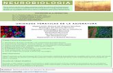 NEUROBIOLOGIA - fcen.uncuyo.edu.ar