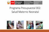 Programa Presupuestal 002: Salud Materno Neonatal