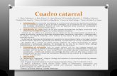 Cuadro catarral I. Olaya Velázquez¹, A. Ruiz Álvarez², L ...
