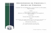 ARTES DE CHIAPAS - UNICACH