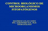 CONTROL BIOLÓGICO DE MICROORGANISMOS FITOPATÓGENOS