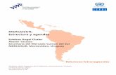 MERCOSUR: Estructura y agendas - SELA