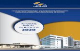INFORME ANUAL DE RIESGOS 2020