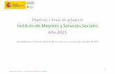 Instituto de Mayores y Servicios Sociales Año 2021