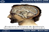 Programa del Curso de Anatomía Humana para Ingeniería ...