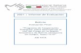 2021 | Informe de Evaluación Bolivia