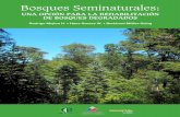 Bosques Seminaturales - Inicio